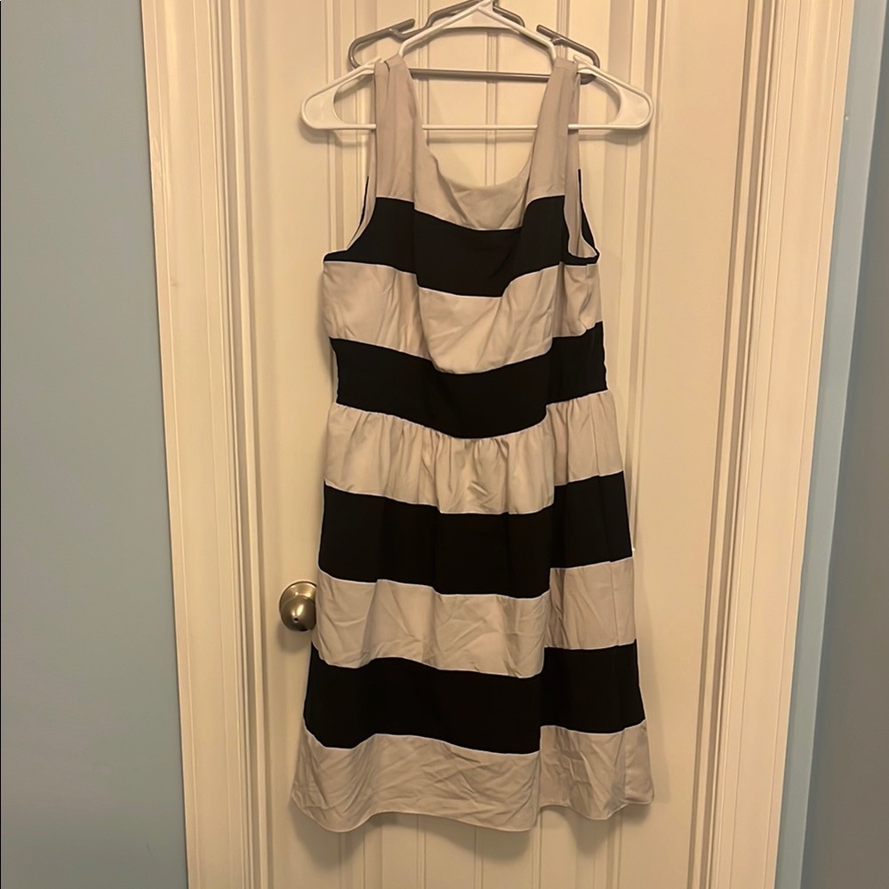 Dress Barn navy blue and White Midi Dress